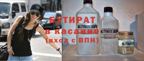 индика Заводоуковск