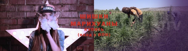 ALPHA PVP Заволжье