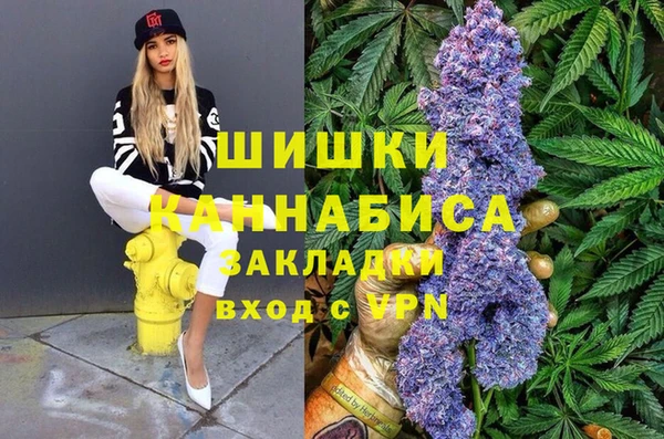 индика Заводоуковск