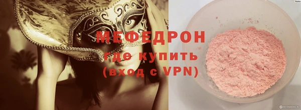 индика Заводоуковск