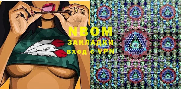 индика Заводоуковск