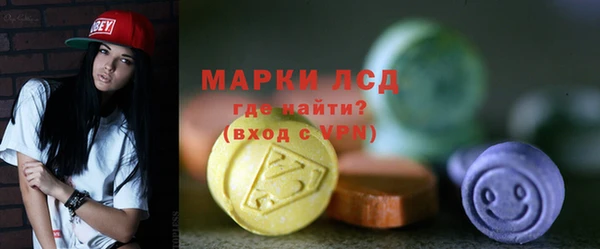 индика Заводоуковск