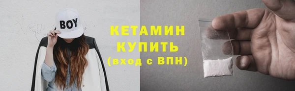 индика Заводоуковск