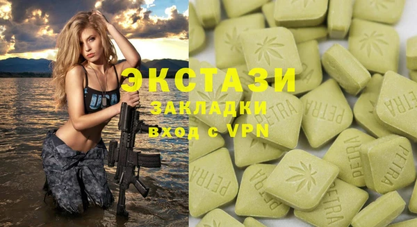 индика Заводоуковск