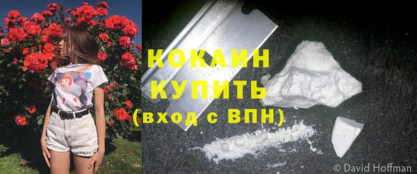 индика Заводоуковск