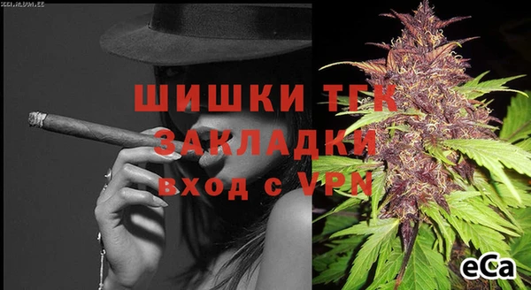 индика Заводоуковск