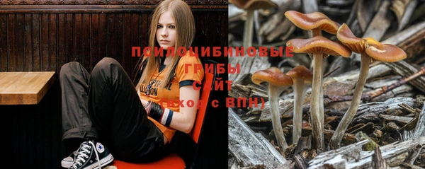 индика Заводоуковск