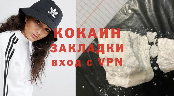 индика Заводоуковск