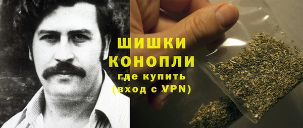индика Заводоуковск