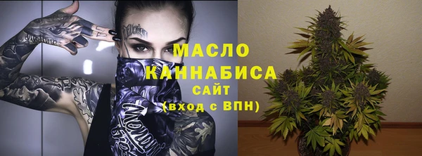 индика Заводоуковск